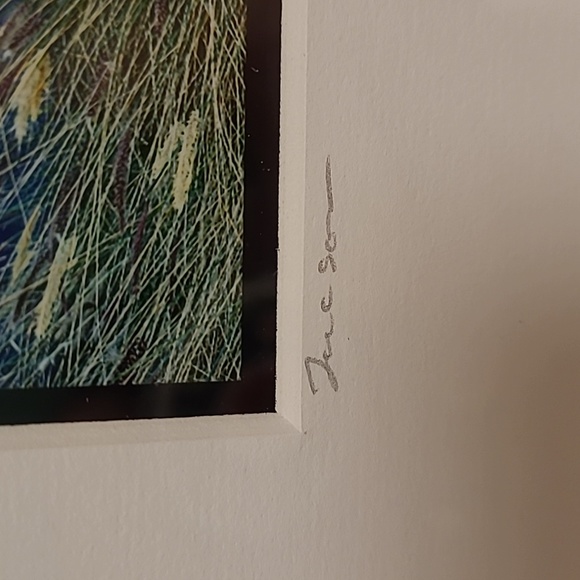 Jim Nilsen "Tuscon" Signed Framed Photo Art - Picture 4 of 16